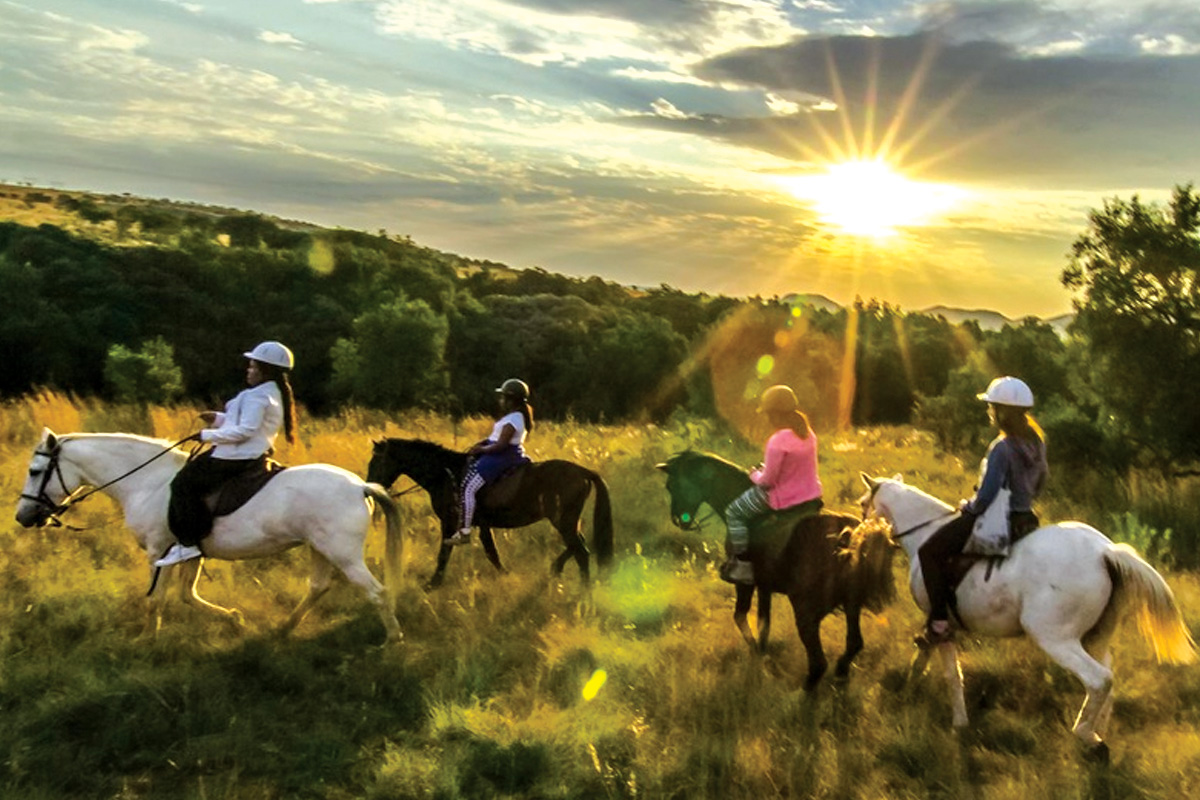 Harties Horse Trail Safaris The Shore House